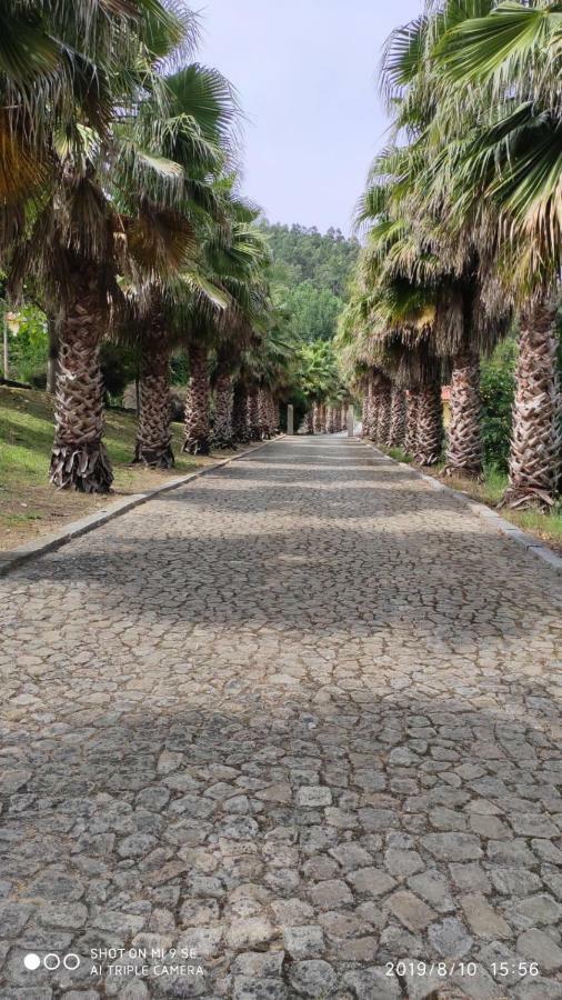 Вилла Quinta Da Vinha Do Souto Арока Экстерьер фото